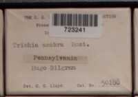 Image Associated With the Occurence